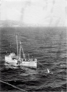 Radio Hauraki's ship Tiri II in 1969