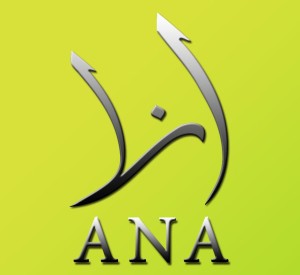 ANA New media association Syria