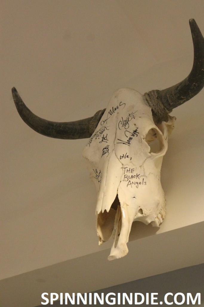 animal skull at KEXP