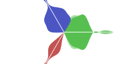 Last.fm visualized flower