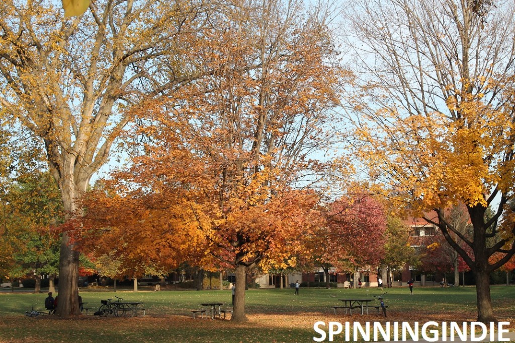 Carleton College campus. Photo: J. Waits