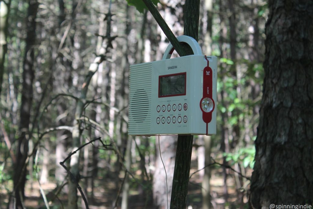 Radio hanging in tree in the woods at Wave Farm. Photo: J. Waits