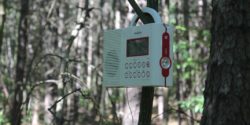 Radio hanging in tree in the woods at Wave Farm. Photo: J. Waits