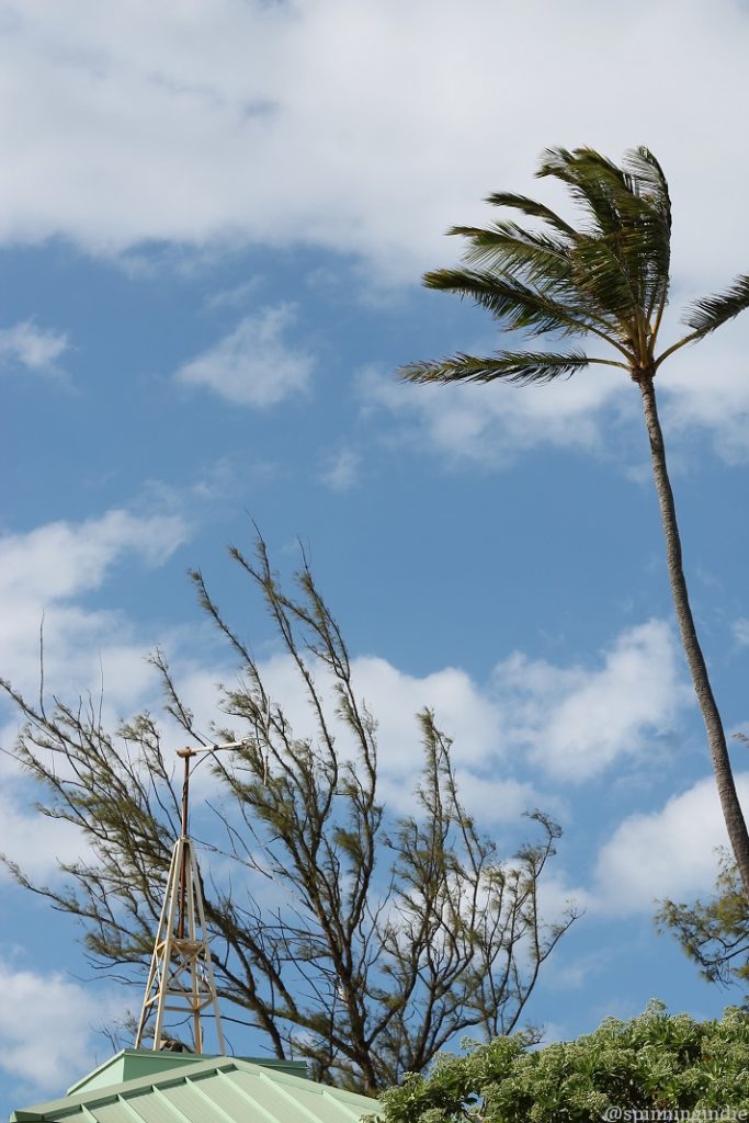 Radio tower and palm tree in Hawaii at KOPO-LP. Photo: J. Waits/Radio Survivor