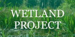 Wetland Project banner image