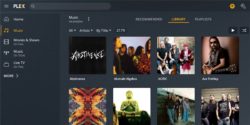 Plex screenshot
