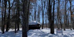 Photo of snowy forest with a yurt in the background. The yurt is the home of Hampshire College radio station Yurt Radio. Photo: J. Waits